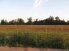 1806 Latourette Dr photo